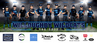 10U Wildcats Banner/Poster
