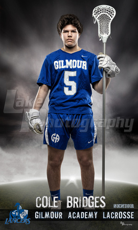 Bridges_Lacrosse_36x60 copy.jpg