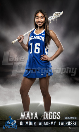 Diggs_Lacrosse_36x60 copy.jpg