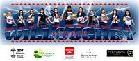 11U Red Banner/Poster