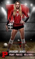 Miner_Volleyball idol 36x60 copy.jpg