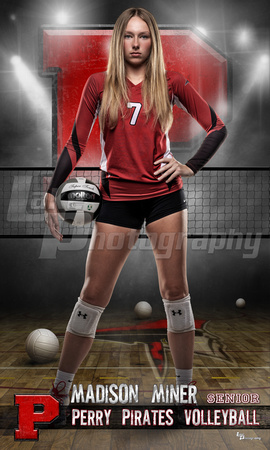 Miner_Volleyball idol 36x60 copy.jpg