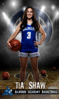 Shaw_Basketball idol 36x60 copy.jpg