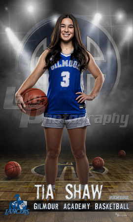 Shaw_Basketball idol 36x60 copy.jpg