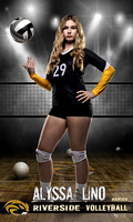 Lino_Volleyball idol 36x60 copy.jpg