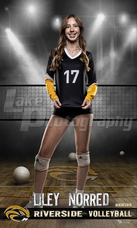 Norred_Volleyball idol 36x60 copy.jpg