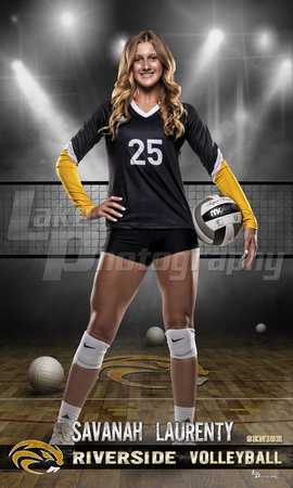 Laurenty_Volleyball idol 36x60 copy.jpg