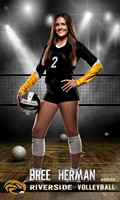 Herman_Volleyball idol 36x60 copy.jpg