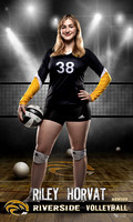 Horvat_Volleyball idol 36x60 copy.jpg