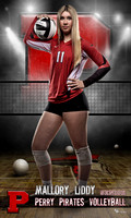 Liddy_Volleyball idol 36x60 copy.jpg