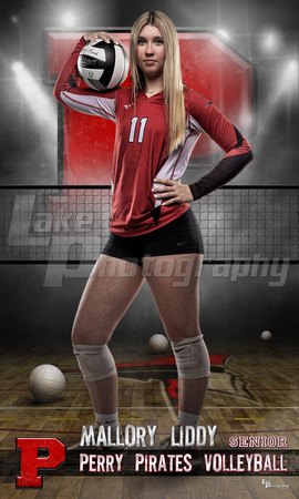 Liddy_Volleyball idol 36x60 copy.jpg