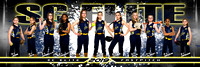 12U Tracy Banner/Poster