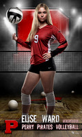 Ward_Volleyball idol 36x60 copy.jpg