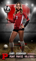 Desborough_Volleyball idol 36x60 copy.jpg