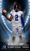 Dillard_Gridiron 36x60 copy.jpg